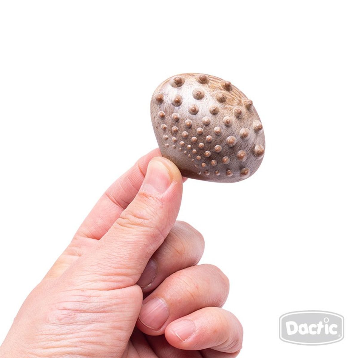 DACTIC - Set de Conchas con Textura