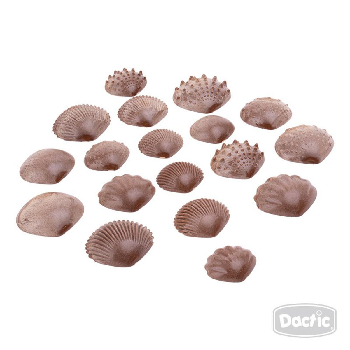 DACTIC - Set de Conchas con Textura