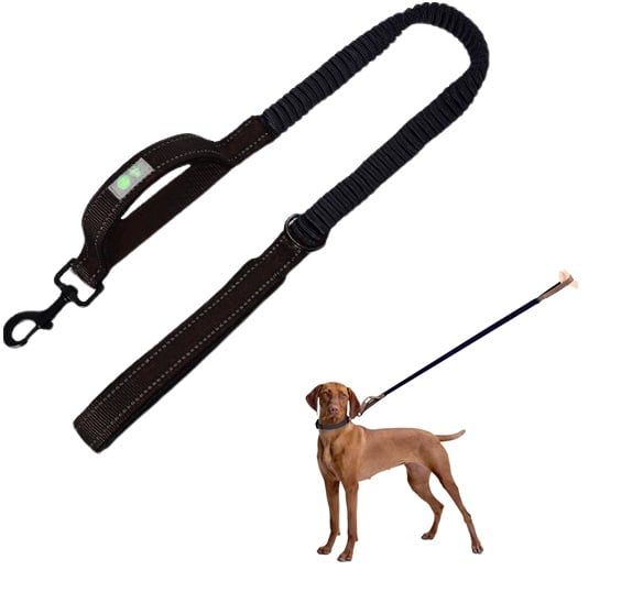 Correa Para Perros Elasticada anti-tirones
