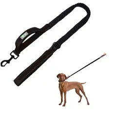 DEFENSOR FOREVER - Correa Para Perros Elásticada anti-tirones