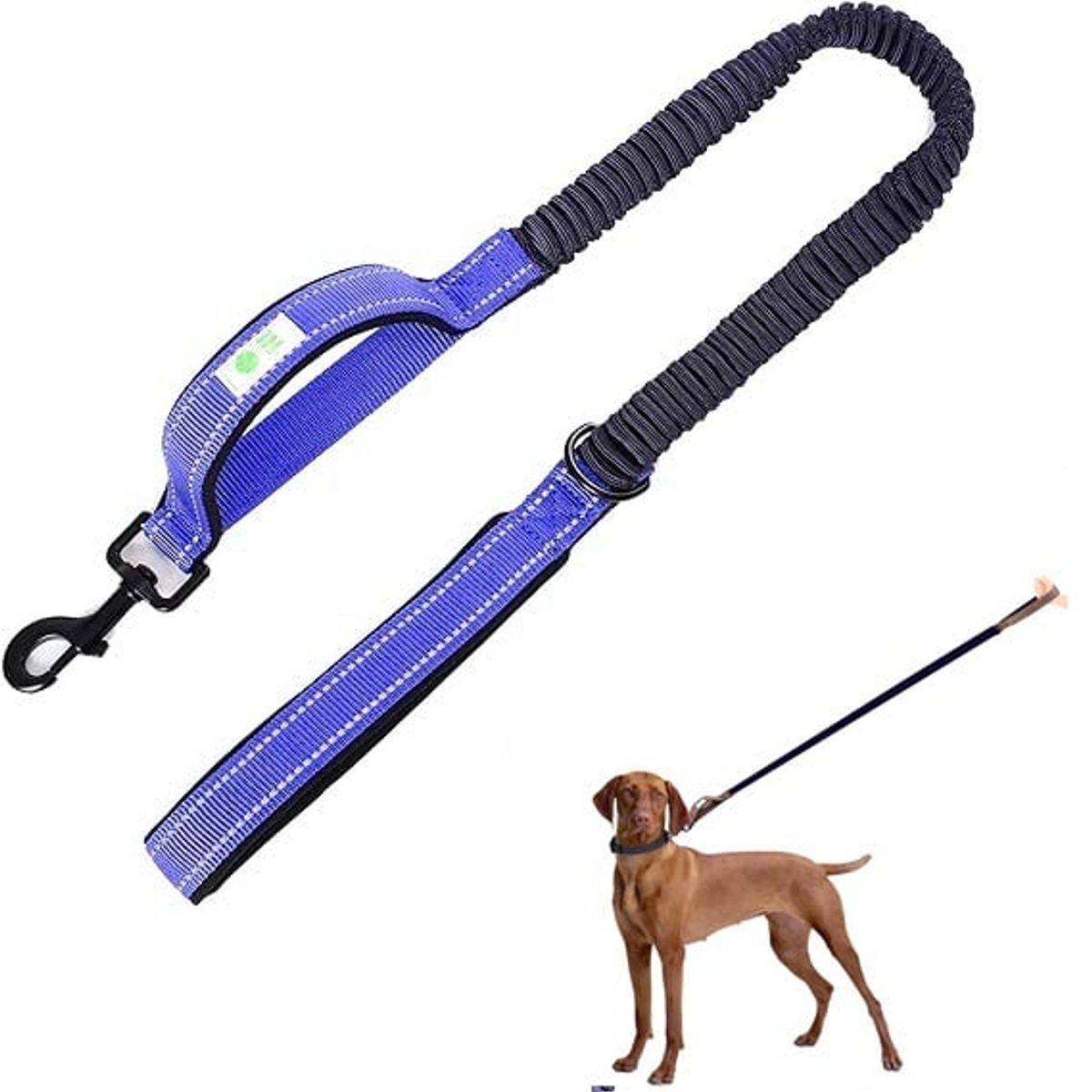 DEFENSOR FOREVER - Correa Para Perros Elásticada anti-tirones