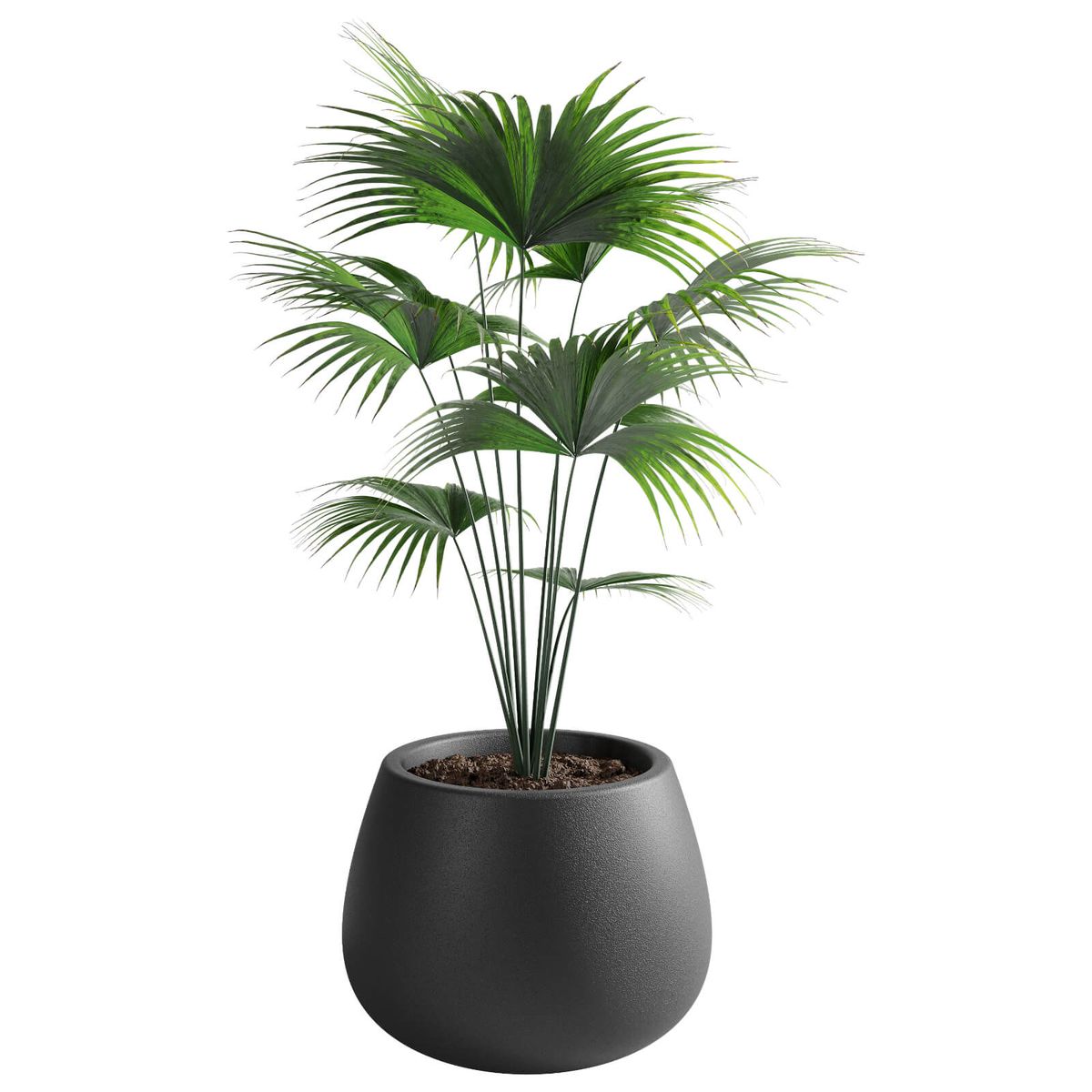 AMALFI - Macetero De Plástico Amalfi Batea 35x50 Cm Y 53 Litros Color Negro