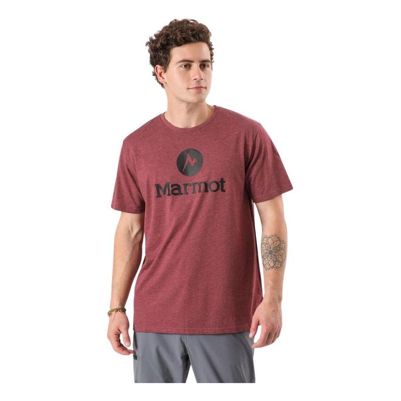MARMOT - Polera Circle Logo Tee Hombre Burdeo