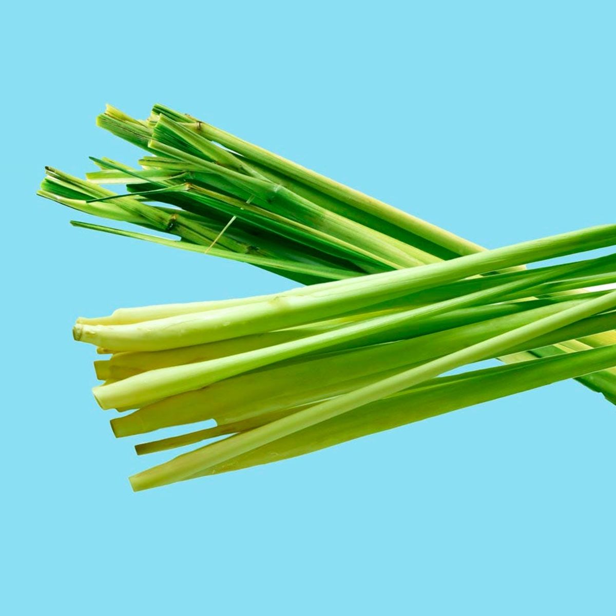 ORGANIC SHOP - Acondicionador Anti-Hair Loss Algae and Lemongrass-Anticaída