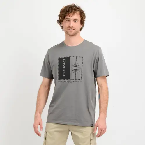 O'NEILL - POLERA MANGA CORTA MIX PALM GRIS