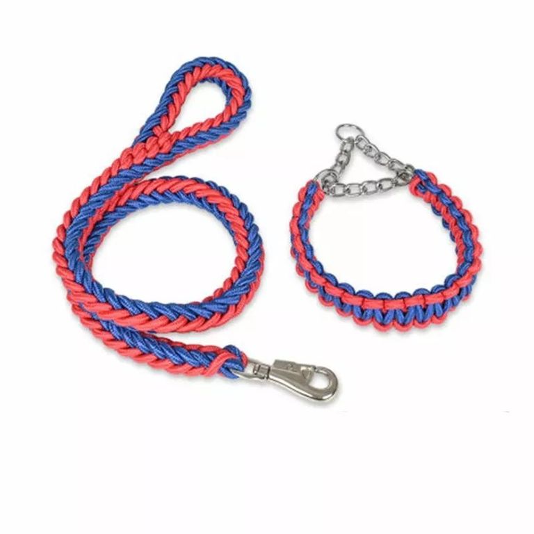 Correa Trenzada Para Perros Grandes + Collar De Ahorque XL