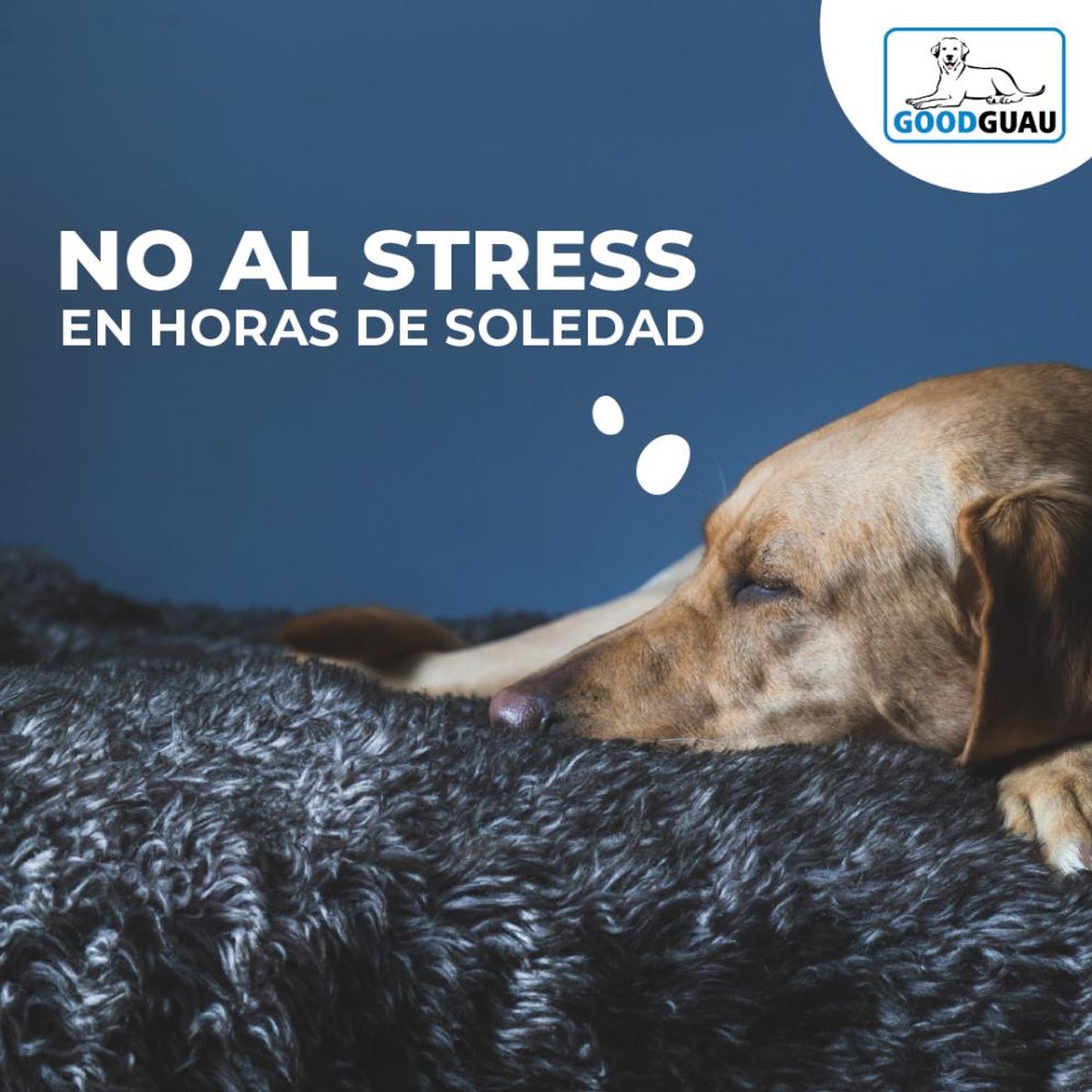 GOODGUAU - Cama Antiestrés GG, 110 cm, XXXXL GOODGUAU