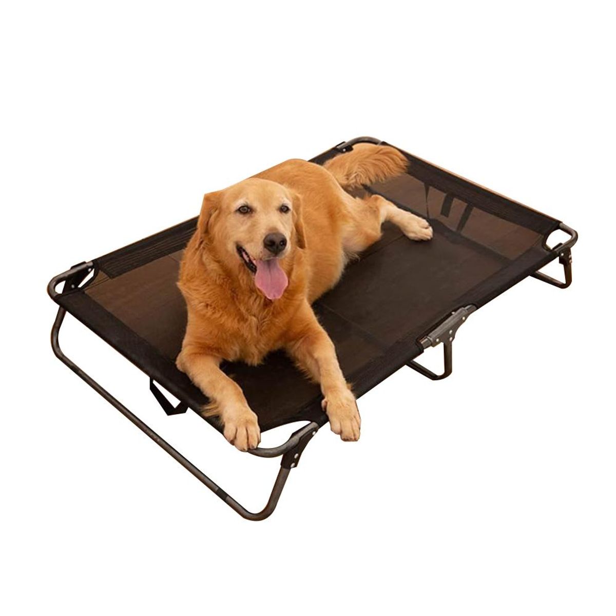 GOODGUAU - Cama Elevada Refrescante Perro Portatil M