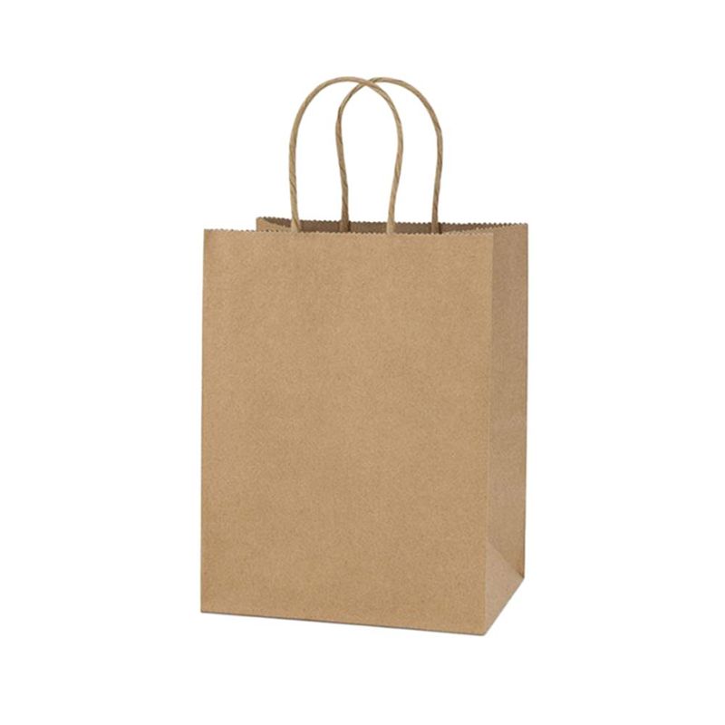 DALI - Bolsa papel kraft con manillas M 27 x 22 x 11 cm (12 und.)