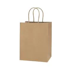 DALI - Bolsa papel kraft con manillas M 27 x 22 x 11 cm (12 und.)