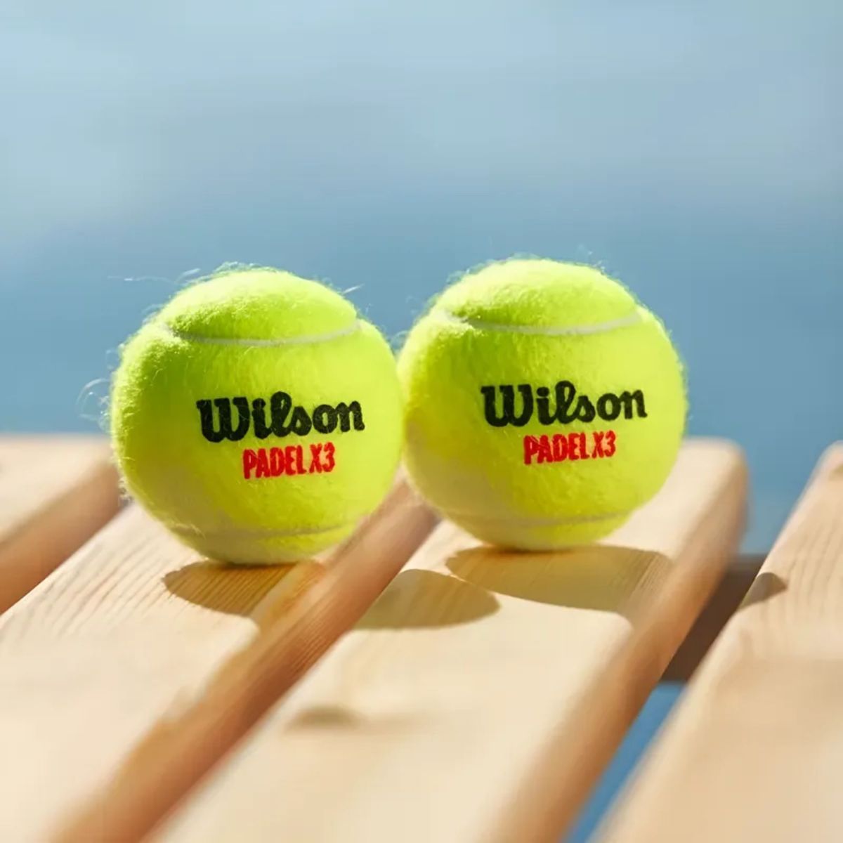 WILSON - Tarro De Pelotas Wilson Padel Performance X3