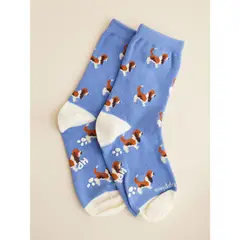 HUSH PUPPIES - Calcetin Azul Basset Niño