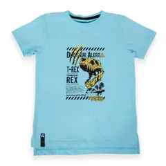 PILLIN - Polera Niño Turquesa - Verde