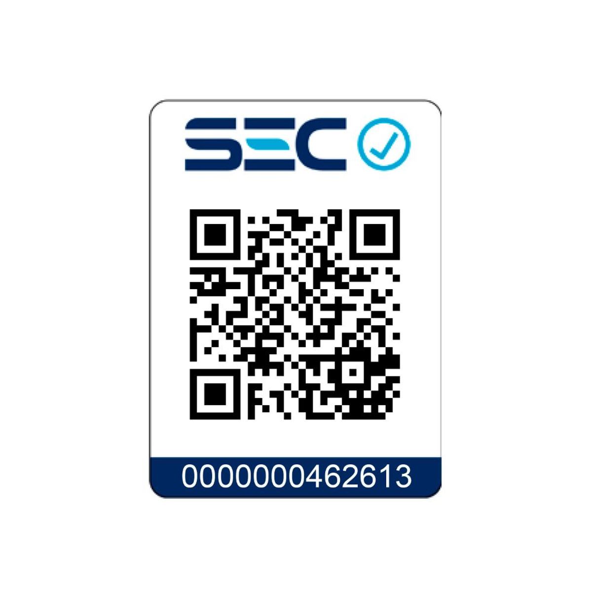 BLAUPUNKT - HIDROLAVADORA  HIDROWASH 1000