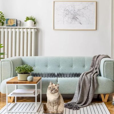 Imagen 2 del producto Alfombrilla Antigatos Y Repelente De Perros Estera Con Púas