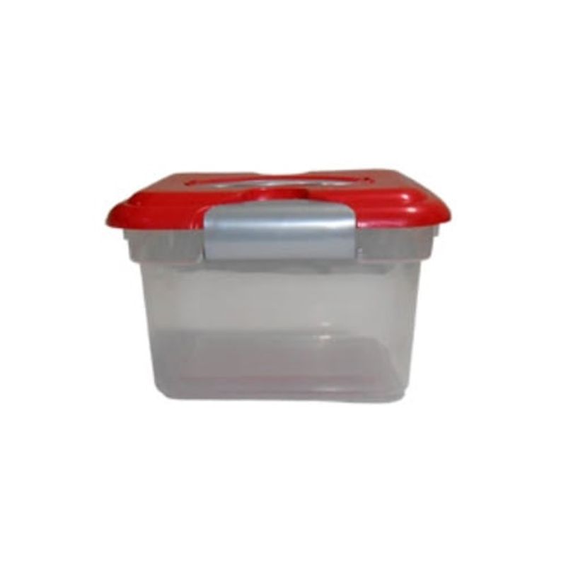 GENERICO - Caja 4 Lts Kitty Pequeña
