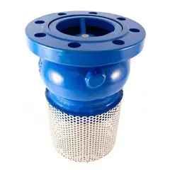 GENERICO - Valvula De Pie Metalica 3 Pulgadas Brida Con Canastillo