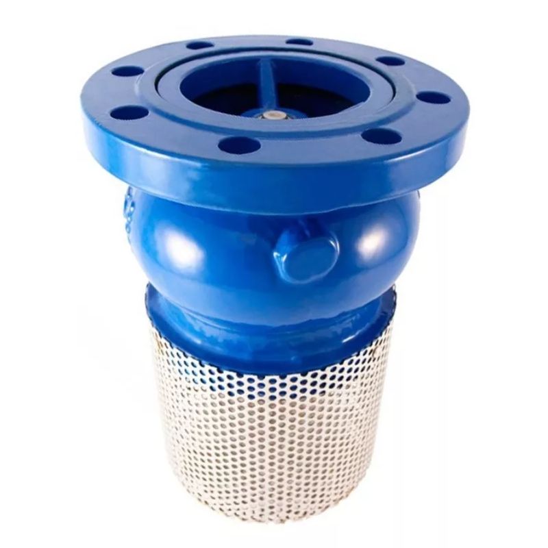 GENERICO - Valvula De Pie Metalica 4 Pulgadas Brida Con Canastillo