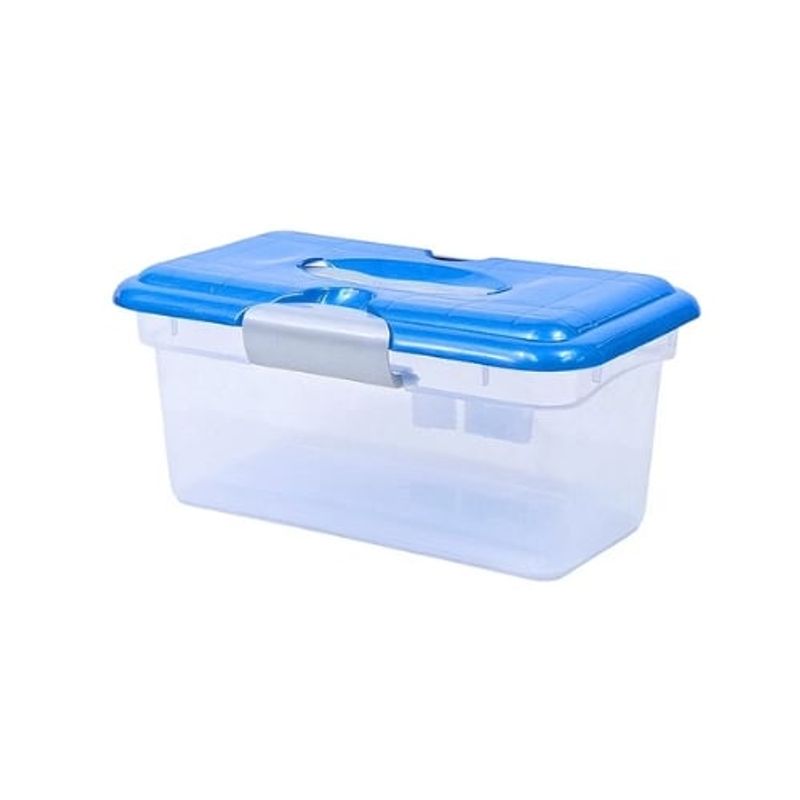 GENERICO - Caja 6 Lts Kitty Mediana