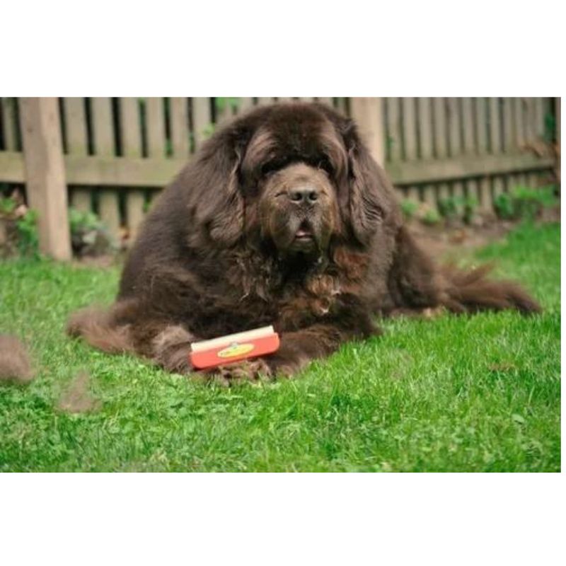 GENERICO - Furminator Cepillo Deslanador Perros Gigantes Pelo Largo