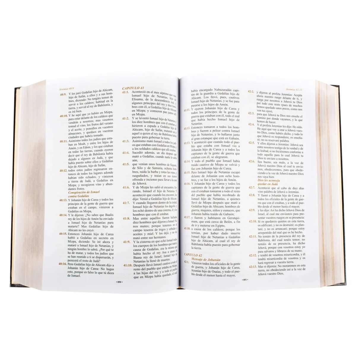 LEXUS EDITORES - La Santa Biblia Reina Valera Letra Grande Borde Dorado Lexus