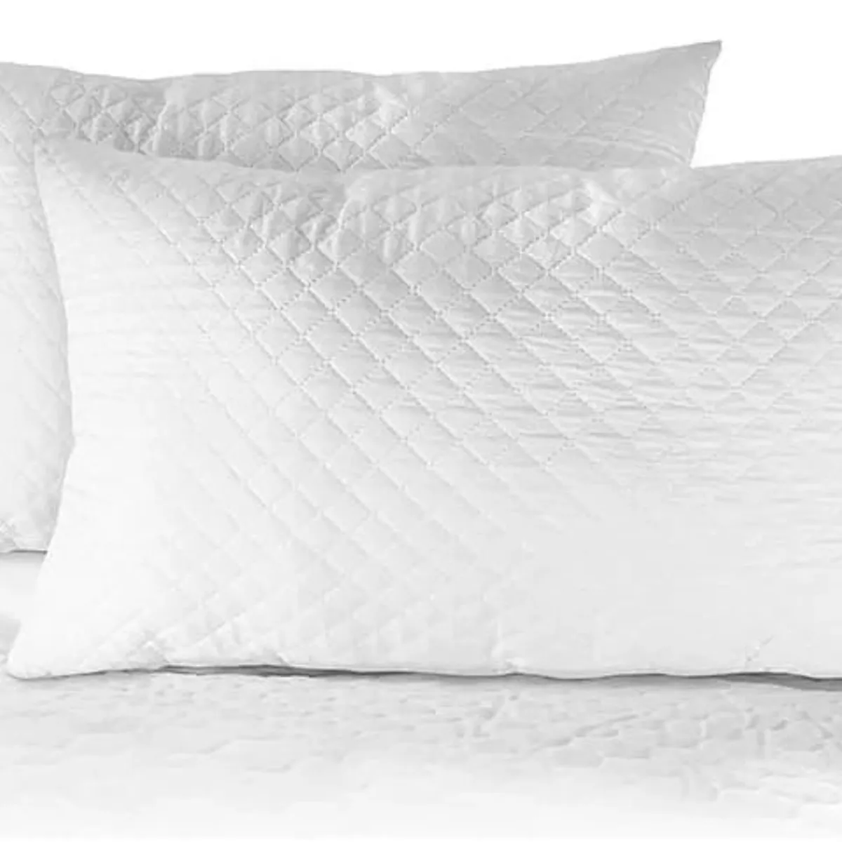 ZEE DREAMS - Funda Protector Almohada Premium 50x70 Cm Pack X 2 - S3200