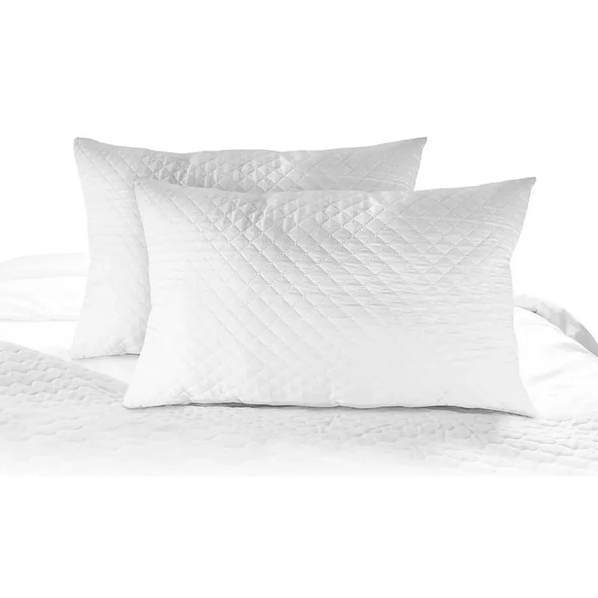 ZEE DREAMS - Funda Protector Almohada Premium 50x70 Cm Pack X 2 - S3200