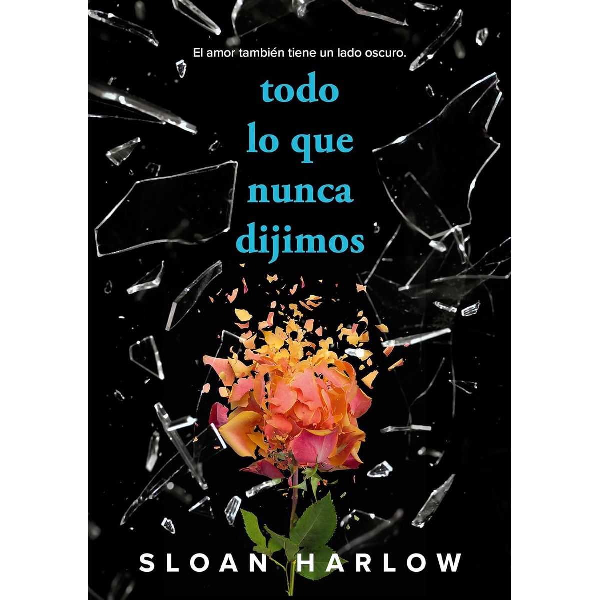 ALFAGUARA - Libro Todo lo que nunca dijimos - Sloan Harlow