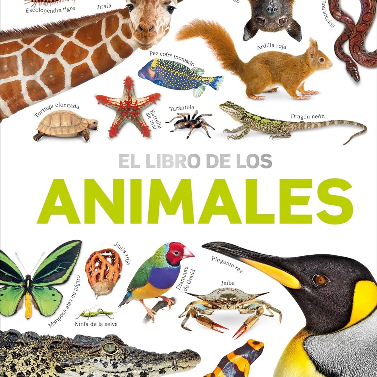 EDITORIAL DK - Libro El libro de los animales - DK
