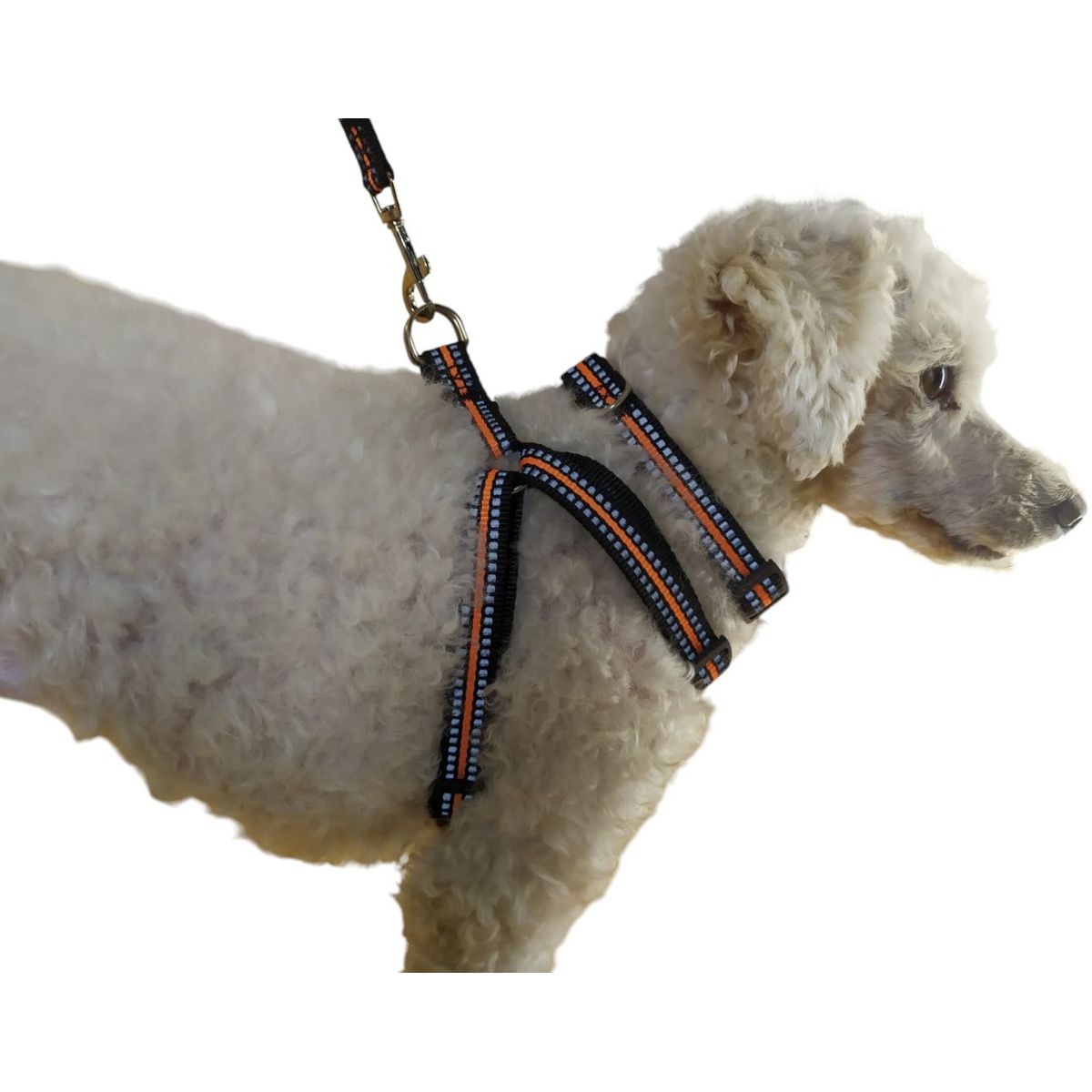 GENERICO - Correa, Arnés Y Collar Para Perros Pequeños Talla  S
