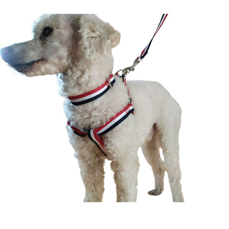 GENERICO - Correa Arnés Y Collar Para Perros De Razas Pequeñas