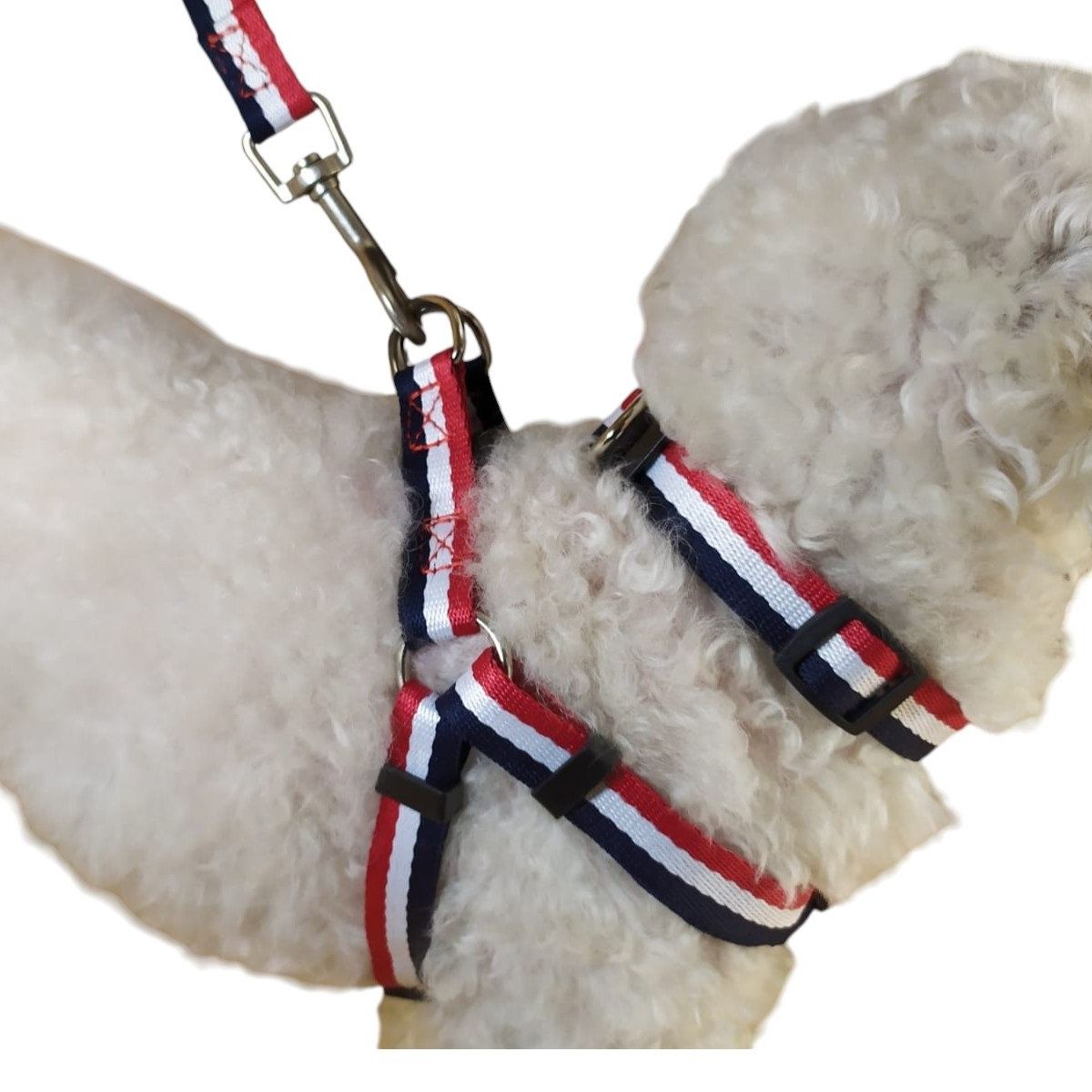 GENERICO - Correa Arnés Y Collar Para Perros De Razas Pequeñas