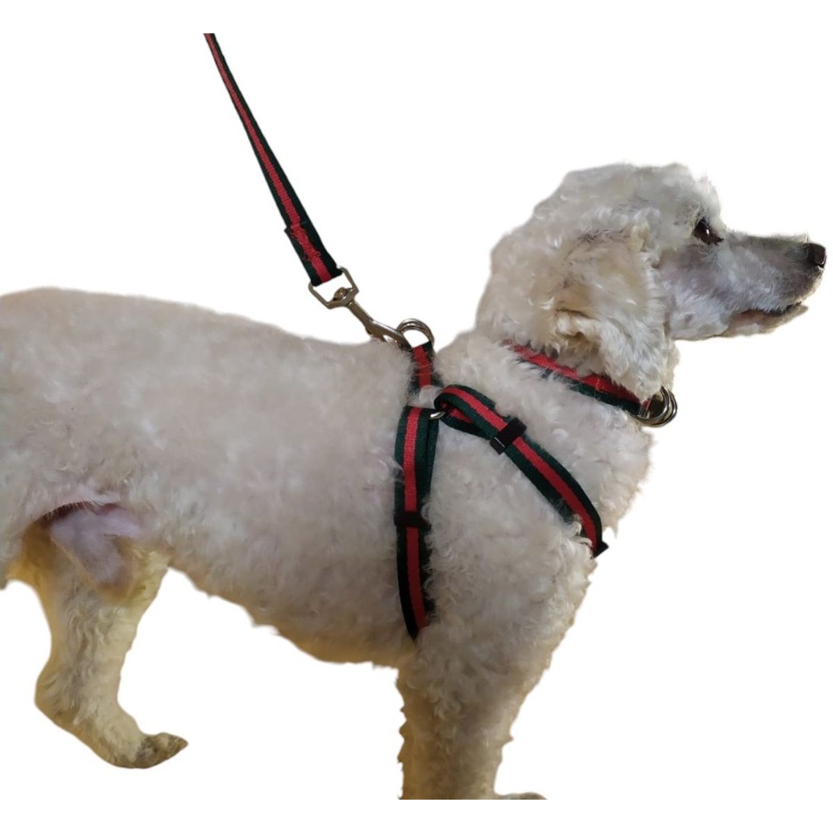 GENERICO - Correa Arnés Y Collar Para Perros De Razas Pequeñas