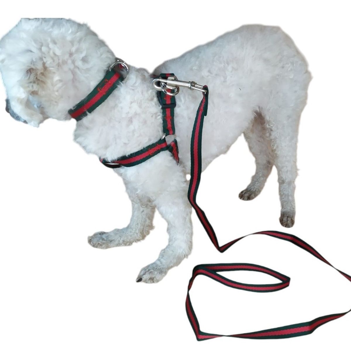 GENERICO - Correa Arnés Y Collar Para Perros De Razas Pequeñas