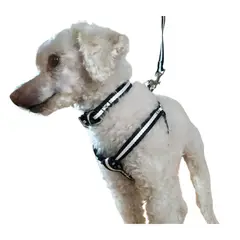 GENERICO - Correa Arnés Y Collar Para Perros De Razas Pequeñas