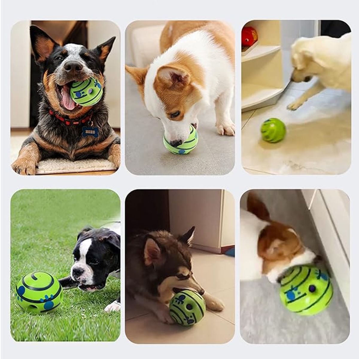 DEFENSOR FOREVER - Juguete Pelota Con Sonidos Para Perros Mascotas