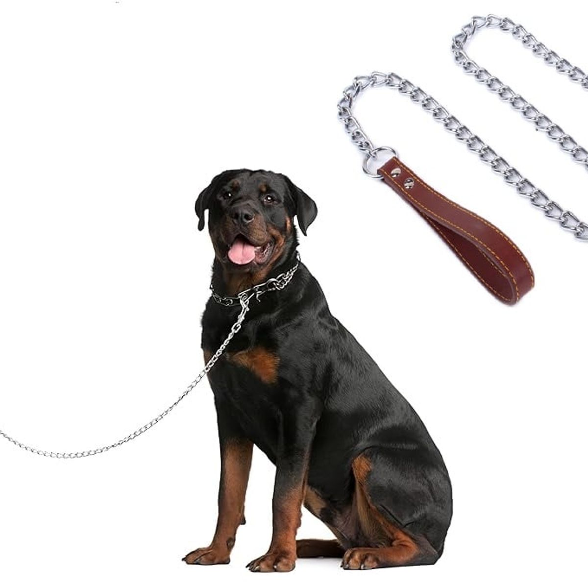 DEFENSOR FOREVER - Correa Metálica Perros De Razas Medianas De Hasta 20 Kilos