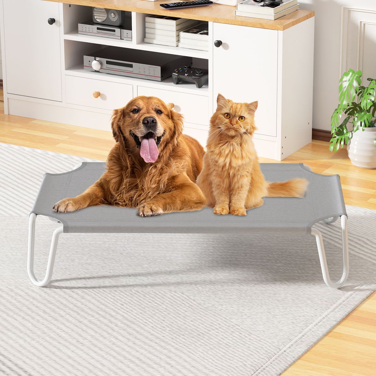 AIZO - Cama Elevada para Perro  Para perros grandes L107x70x20 cm