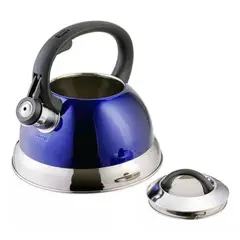 GENERICO - Tetera Silvante 32 Lt De Acero Inoxidable Colores Con Mango