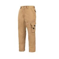 Pantalón Cargo Alerce Canvas
