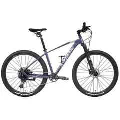 XTREME - Bicicleta MTB Cheetah Aro 29 Unisex 2024