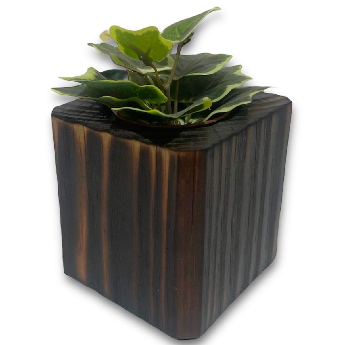 GENERICO - Macetero en madera quemada para suculenta modelo cubo