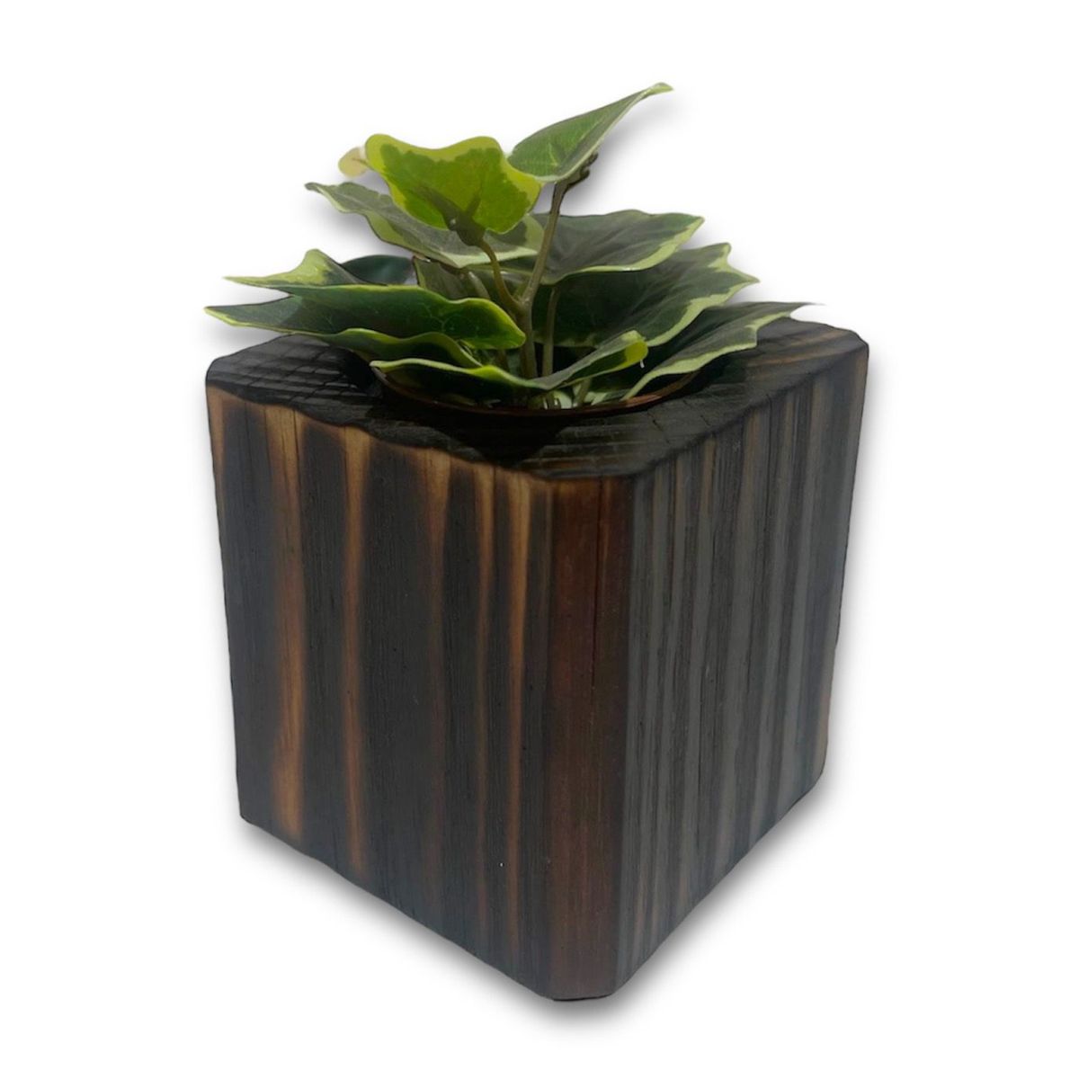 GENERICO - Macetero en madera quemada para suculenta modelo cubo