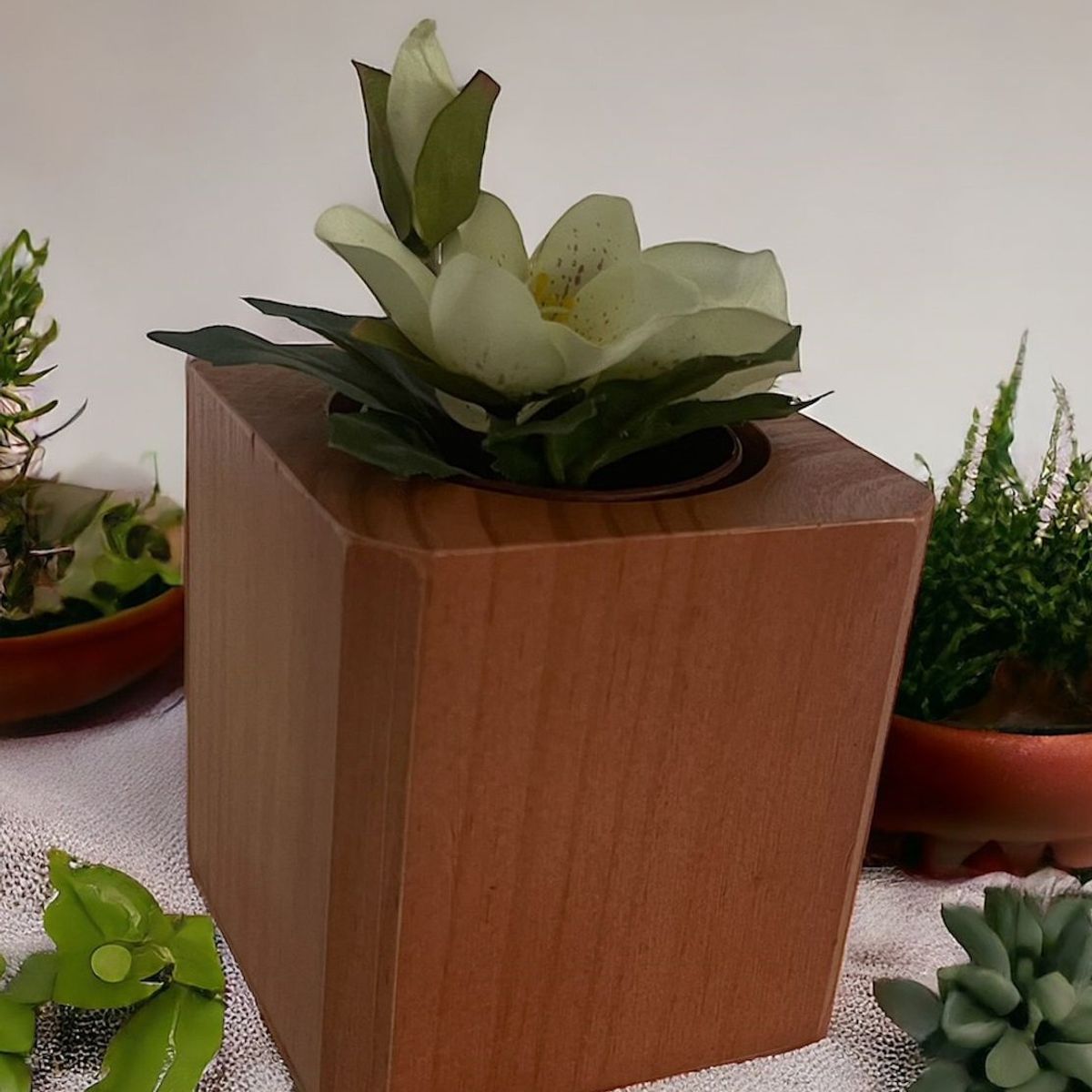 GENERICO - Macetero de madera para suculenta modelo cubo