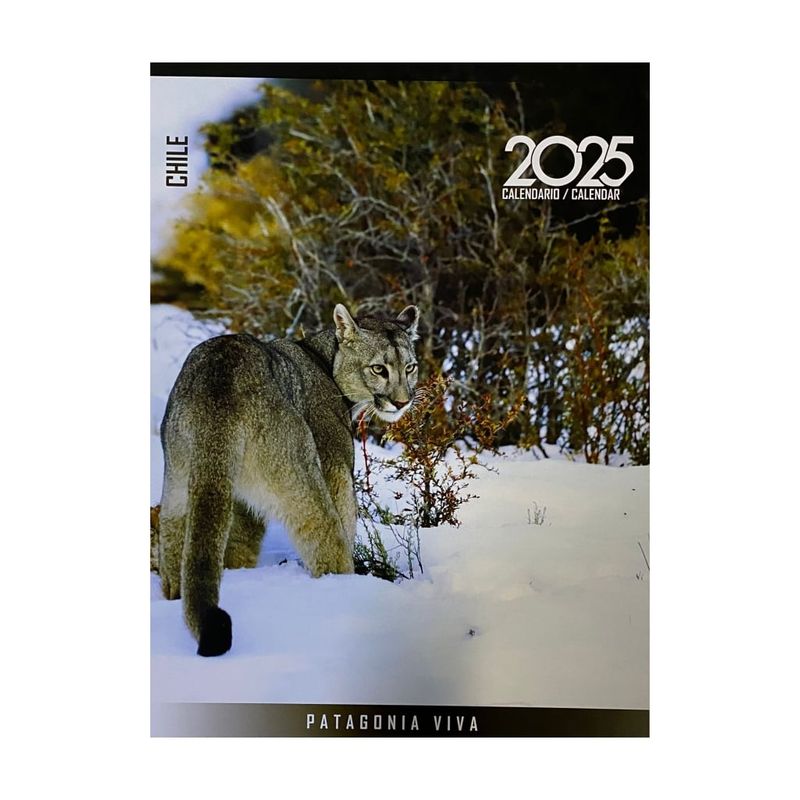 TOP10BOOKS - LIBRO CALENDARIO PARED 2025 PATAGONIA VIVA / REPOPACK /