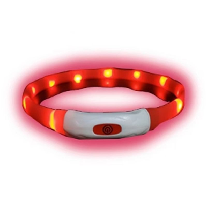 GENERICO - Collar Para Perro Luz Led Luminoso 35 Cm Carga Usb Rojo