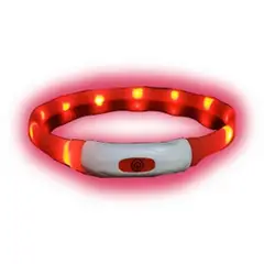 GENERICO - Collar Para Perro Luz Led Luminoso 35 Cm Carga Usb Rojo