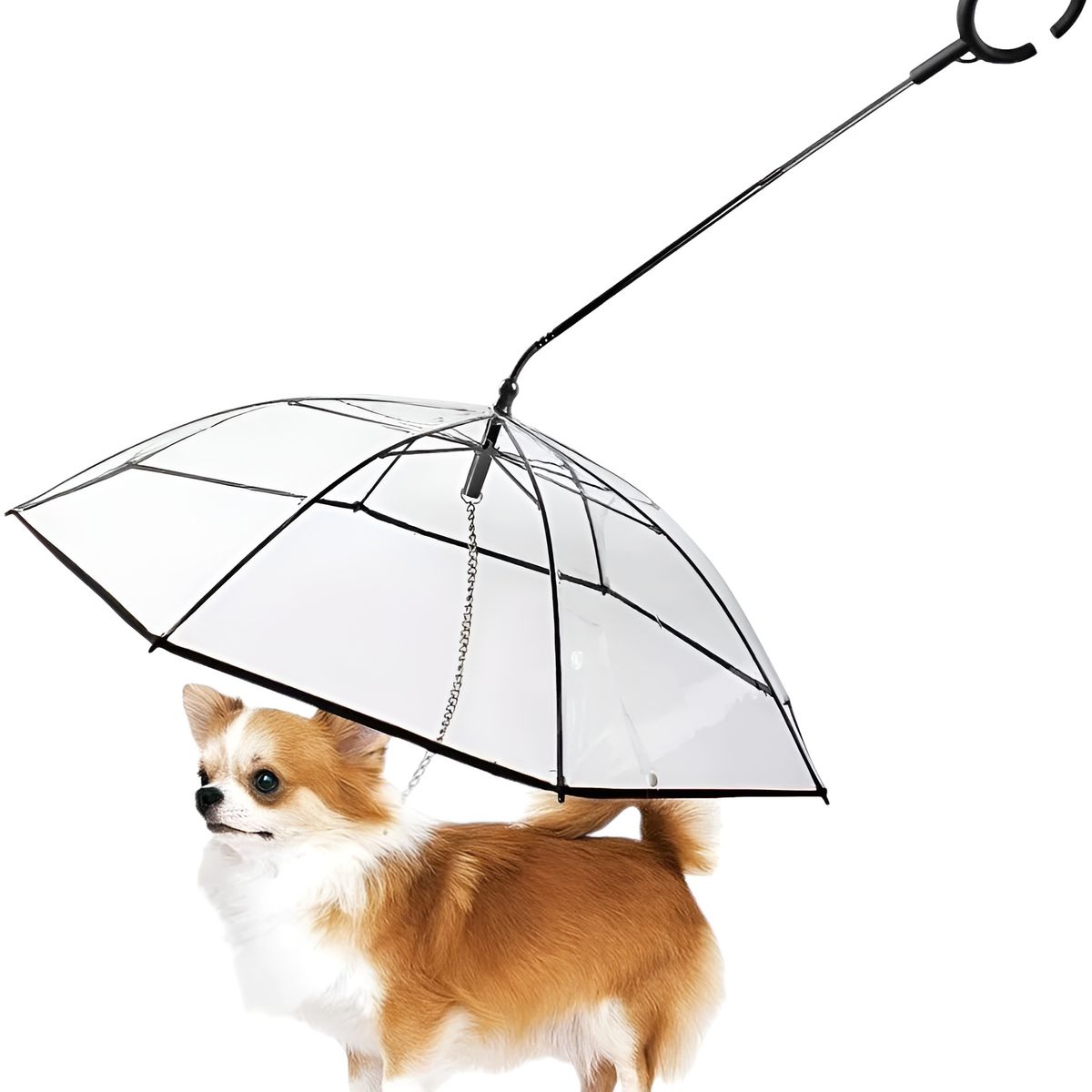 GENERICO - Paragua Plegable Mascotas Correa Paraguas Perros Pequeños