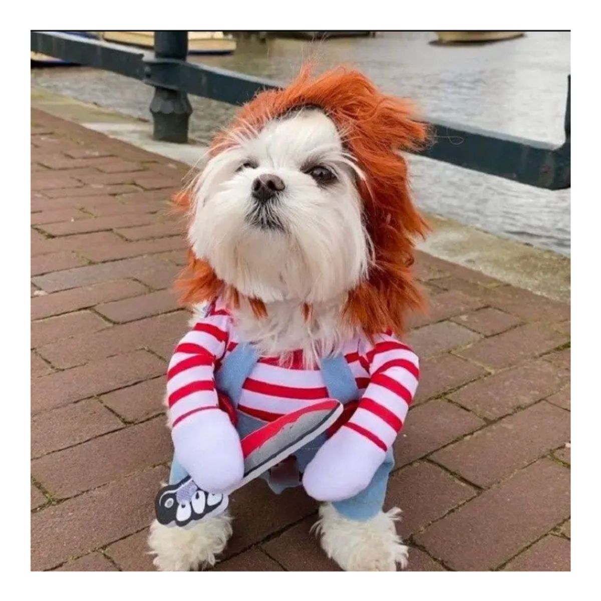 GENERICO - Disfraz Muñeco Terror Mascotas Perrosgatos Halloween L