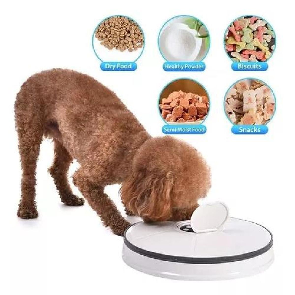 GENERICO - Dispensado Alimento Automatico Perros Gatos Color Blanco